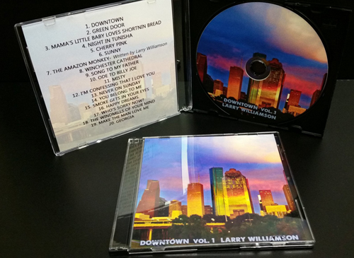 CD Slimline Case